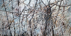 Winterwald, Felicitas Math� (C) M. K�pfer